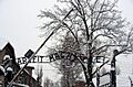 Auschwitz-Work Set Free