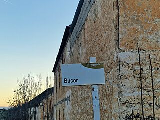 Búcor (Granada).jpg