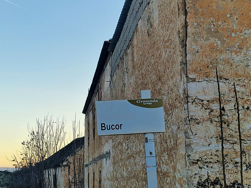 Búcor (Granada)