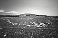 Bighorn medicine wheel