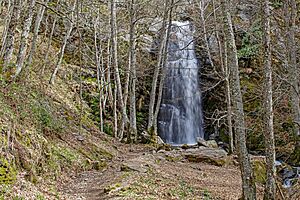 Archivo:Cascada de Canteixeira