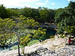 Cenote Xlacah - P1110794.JPG