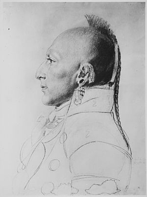 Archivo:Chief of the Little Osages, bust-length, profile showing hair style, 1807 - NARA - 532931