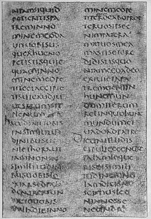 Archivo:Codex Vercellensis - Old Latin gospel (John ch. 16, v. 23-30) (The S.S. Teacher's Edition-The Holy Bible - Plate XXXII)