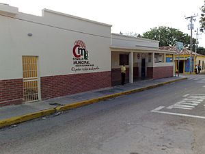 Archivo:Concejo Municipal del municipio Falcón