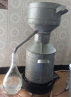 Archivo:Distillation Eau de fleur d'oranger