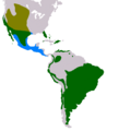 Distribuição Buraqueira
