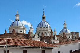 Domes of the Catedral de la Immaculada Concepción.jpg
