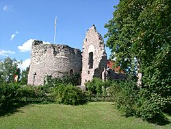 Dreieich Dreieichenhain Burg 20070823.JPG