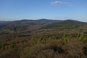 Archivo:Eichkopf vom Atzelberg aus gesehen
