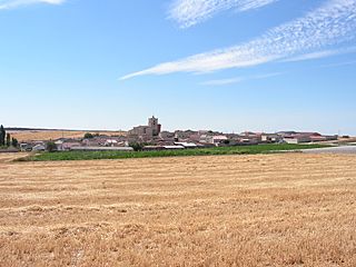 Fuentes de Cuéllar (vista este).JPG