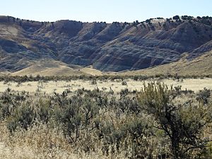 Archivo:Green River UT 2005-10-14 2104