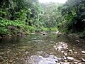 GuadalcanalRiver
