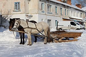 Archivo:Horse-drawn sleighs 2012 G1