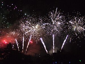 Archivo:LegolandFireworks