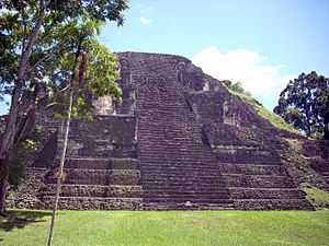 Archivo:Mundo Perdido pyramid 5C-54, Tikal