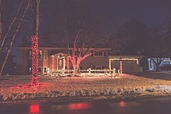 New Hope Minnesota Home Holiday Lights (31814199660).jpg