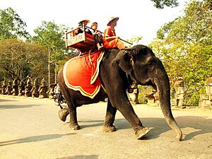 Archivo:Outside South Gate of Angkor Thom City - panoramio