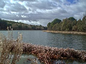 Pantano Santa Espina.jpg