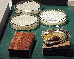 Archivo:Pearls