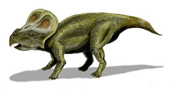 Protoceratops BW
