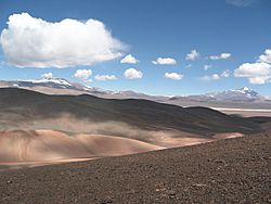 Archivo:Reserva provincial Laguna Brava