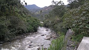 Archivo:River aguacia manta
