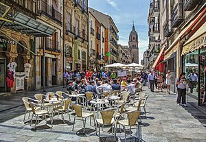 Archivo:Salamanca, Spain - panoramio (18) edited
