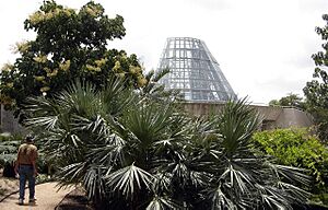 Archivo:San Antonio Botanical Garden 01697