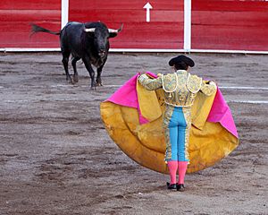 Archivo:San marcos bullfight 01