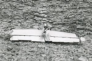 Archivo:Severed tail of TWA Flight 2