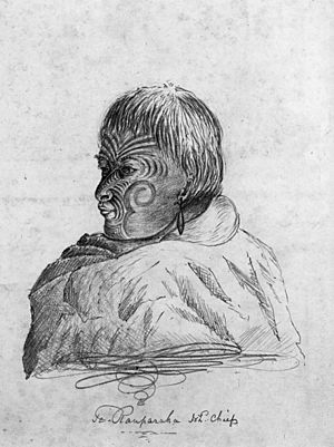 Te Rauparaha, N.Z. chief, photographic print of wash drawing by Charles Heaphy, 1839.jpg