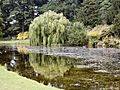 Temple Newsam lake - geograph.org.uk - 30544