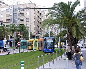 Archivo:Tranvía de Tenerife1