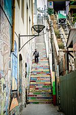 Valparaiso - Flickr - Casper Abrilot.jpg