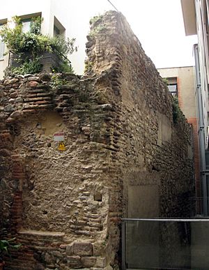 Archivo:048 Fragment de muralla al pati de Can Pedrals (Granollers)