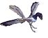 Archaeopteryx 2B.JPG