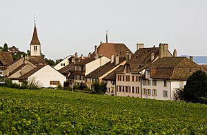Archivo:Auvernier-village