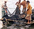 BD-fishermen