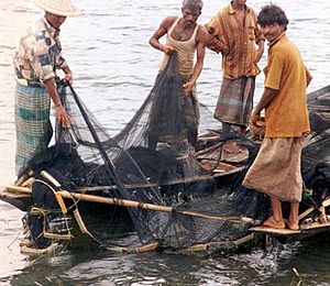 Archivo:BD-fishermen