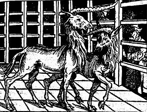 Archivo:Barthema-unicorne