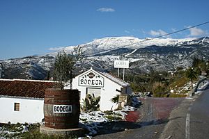 Archivo:Bodegas Almijara