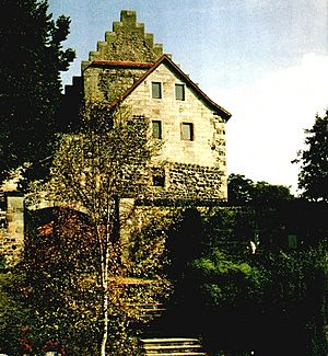 Archivo:Burg-Fuersteneck front www.burg-fuersteneck.de