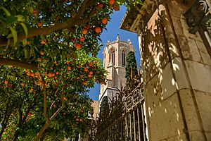Archivo:Catedral de Tarragona - 51313868534
