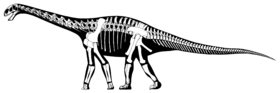Archivo:Cetiosaurus oxoniensis skeletal