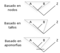 Clade types-es