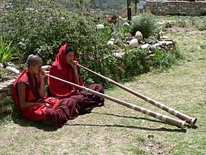 Archivo:Dechen Phodrang monastic school, Thimphu 2
