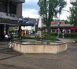 Dorfbrunnen Reinach.jpg