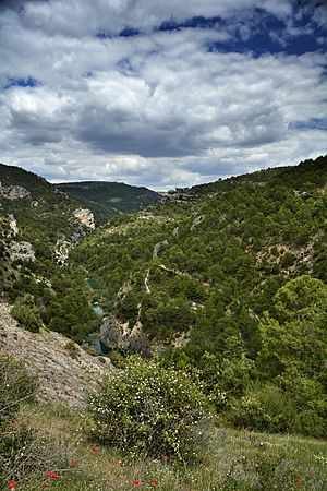 Archivo:ES4230014-Serrania de Cuenca-Ventano del Diablo AGA5956