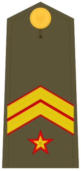 Ejerespadivi12
